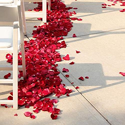 Silk Rose Petals for Valentine's Day & Weddings