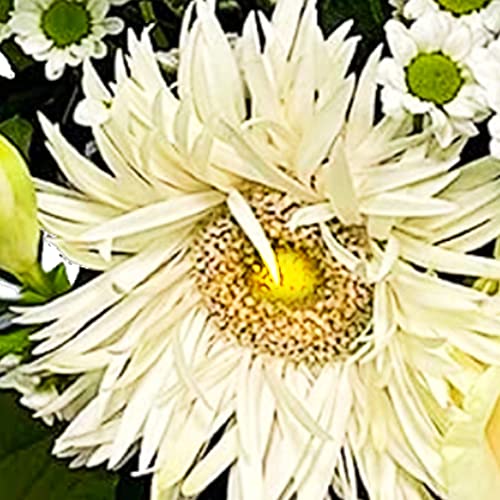 Sparkling DIY Bouquet for Special Occasions