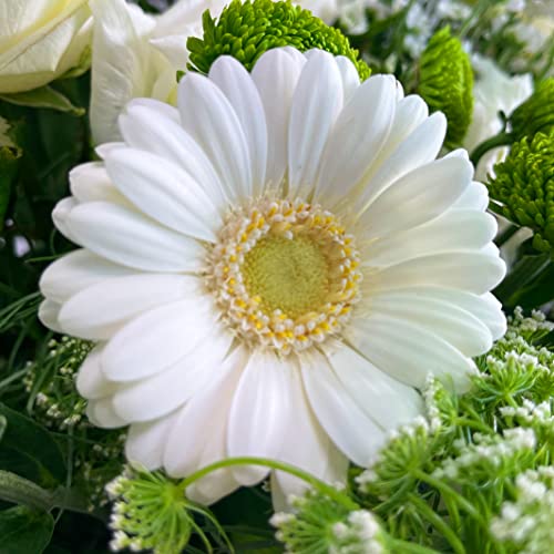 Treasured Memories Hand Tied Bouquet with Vase