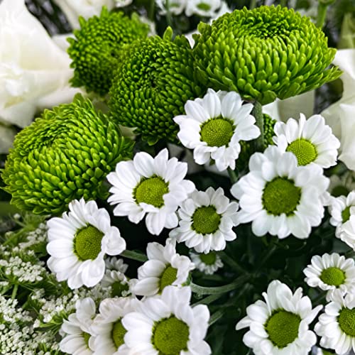 Treasured Memories Hand Tied Bouquet with Vase