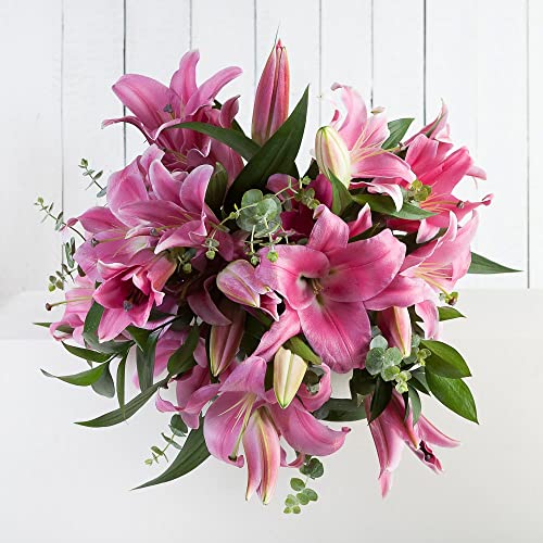 Pink Lilies - Fresh Cut Flower Birthday, Anniversary Next Day delivery Prime Thank You, All Occasion, .