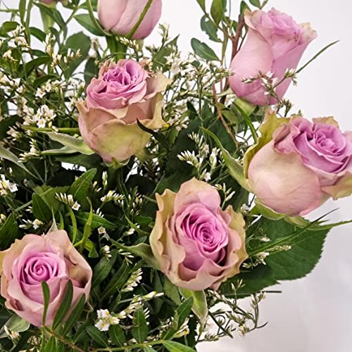 Lilac Rose Bouquet Beautiful Fresh Flowers, Fresh Flowers Delivered Next Day Prime Delivery, Flowers Fresh Bouquet, Perfect for Birthdays, Anniversaries and Thank You Gifts.