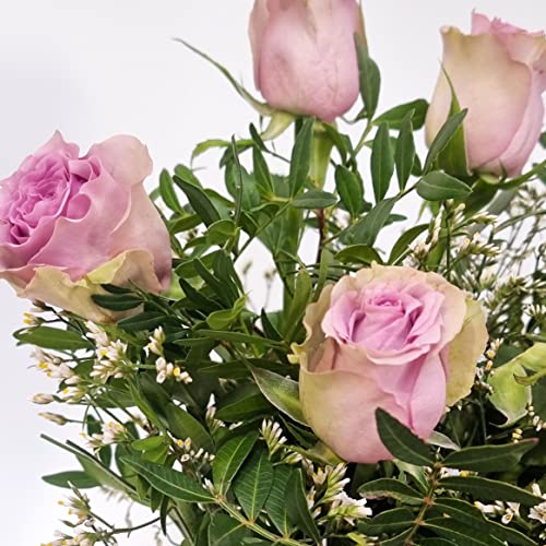 Lilac Rose Bouquet Beautiful Fresh Flowers, Fresh Flowers Delivered Next Day Prime Delivery, Flowers Fresh Bouquet, Perfect for Birthdays, Anniversaries and Thank You Gifts.