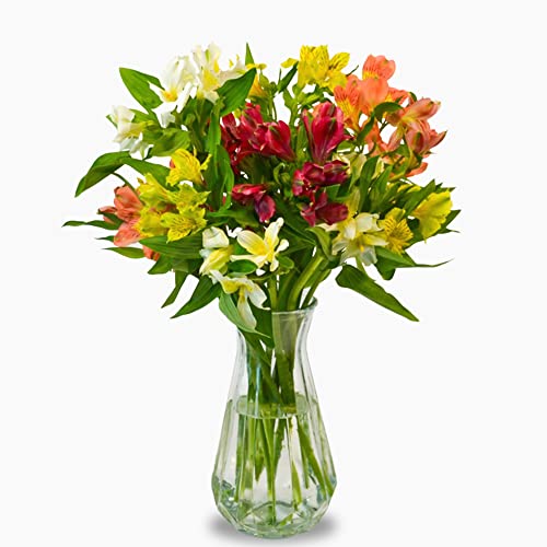 Vibrant Alstromeria Bouquet for Celebrations and Gratitude