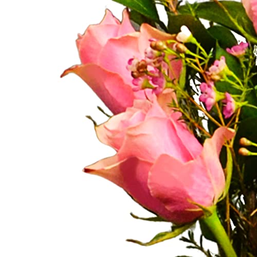 Pink Rose Letterbox Bouquet for Gifting