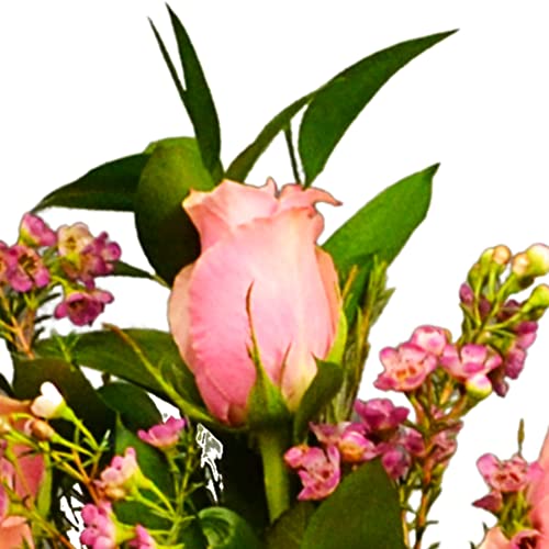 Pink Rose Letterbox Bouquet for Gifting