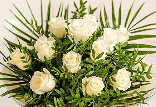 Fresh Cut Pure White Rose Bouquet