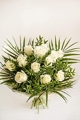 Fresh Cut Pure White Roses for Special Occasions