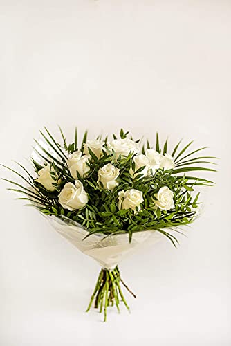 Fresh Cut Pure White Roses for Special Occasions