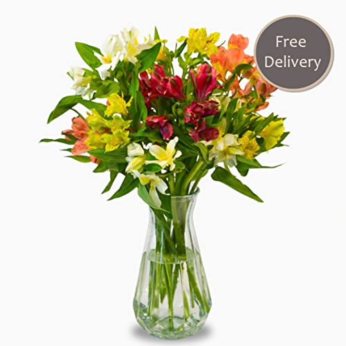 Vibrant Alstromeria Bouquet for Celebrations and Gratitude