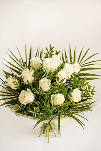 Fresh Cut Pure White Roses for Special Occasions