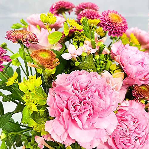 Pink Petals DIY Letterbox Bouquet