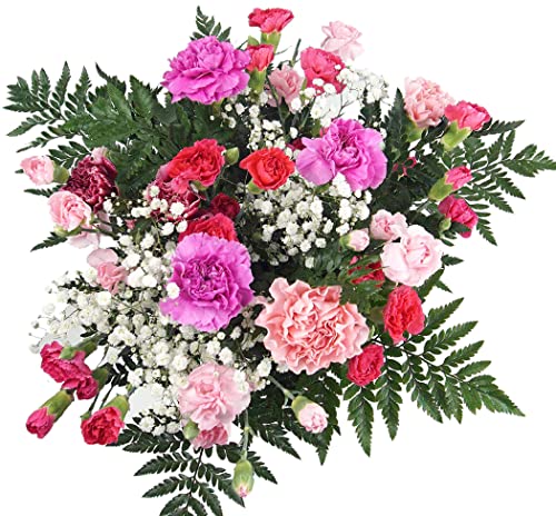 Pink Mixed Carnation Bouquet - Next Day Delivery
