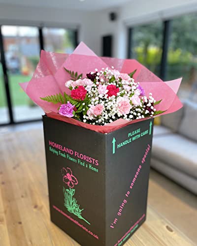 Pink Mixed Carnation Bouquet - Next Day Delivery