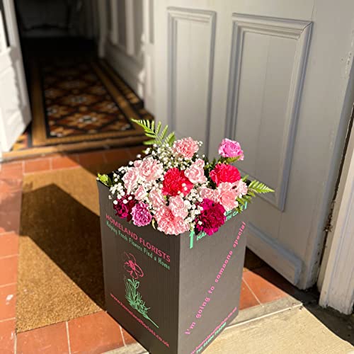 Pink Mixed Carnation Bouquet - Next Day Delivery