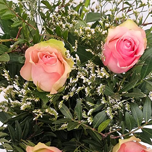 Fresh Pink Rose Bouquet for Celebrations