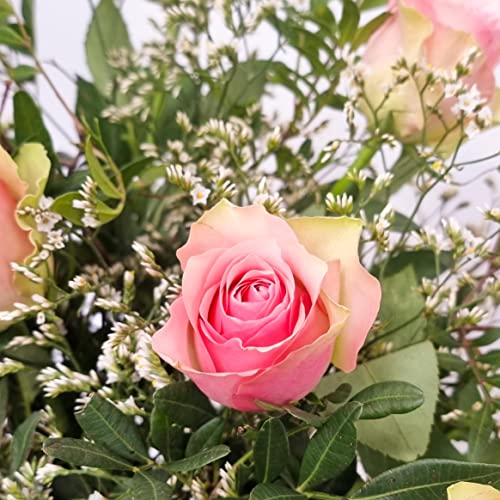 Fresh Pink Rose Bouquet for Celebrations