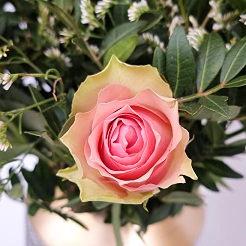 Fresh Pink Rose Bouquet for Celebrations