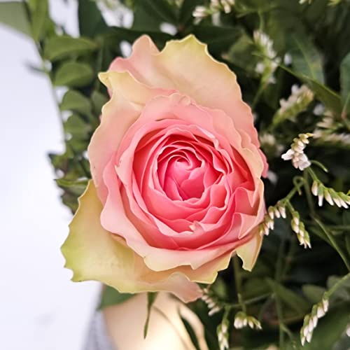 Fresh Pink Rose Bouquet for Celebrations