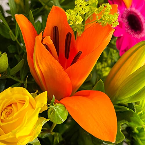 Hawaiian Sunset Bouquet for Special Occasions