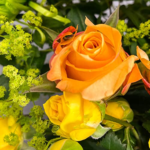 Hawaiian Sunset Bouquet for Special Occasions