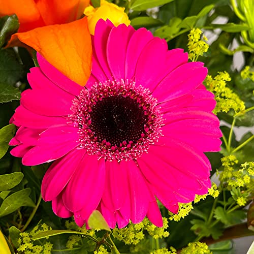 Hawaiian Sunset Bouquet for Special Occasions