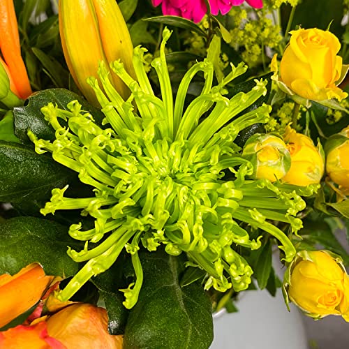 Hawaiian Sunset Bouquet for Special Occasions