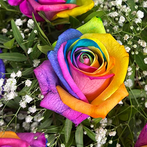 Rainbow Rose Bouquet for Special Occasions