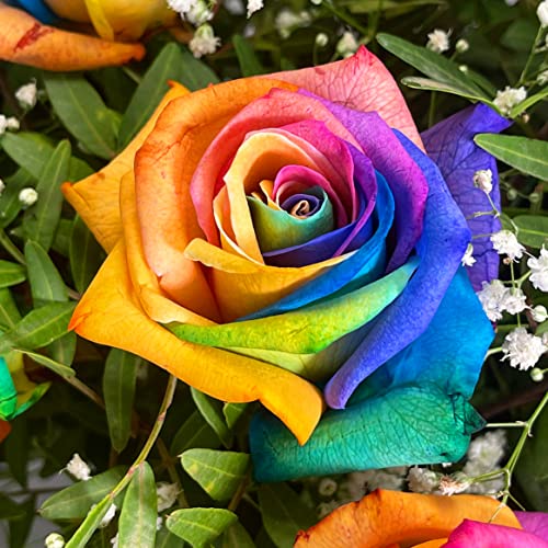 Rainbow Rose Bouquet for Special Occasions