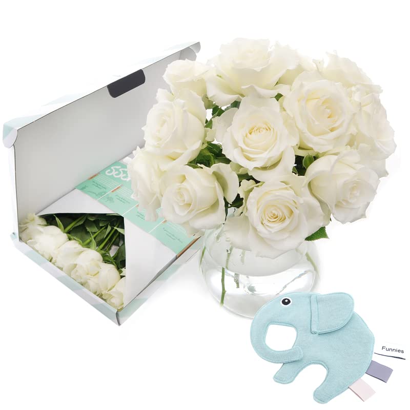 BloomPost Letterbox Gift - It´s a boy - Letterbox Baby Gift - Bouquet White Roses - Fresh Flowers Delivered - Next Day Free UK Delivery