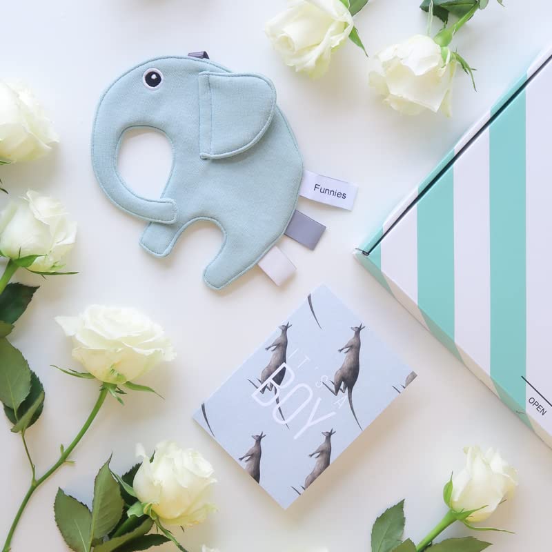 BloomPost Letterbox Gift - It´s a boy - Letterbox Baby Gift - Bouquet White Roses - Fresh Flowers Delivered - Next Day Free UK Delivery