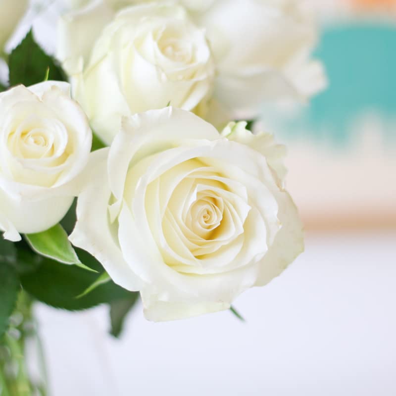 BloomPost Letterbox Gift - It´s a boy - Letterbox Baby Gift - Bouquet White Roses - Fresh Flowers Delivered - Next Day Free UK Delivery