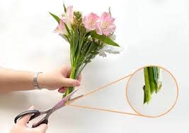 Red Rose Bouquet for Love & Occasions