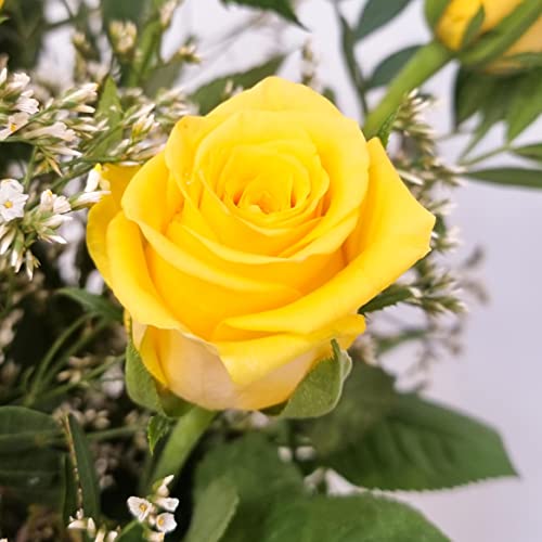 Yellow Rose Bouquet - Fresh & Stunning