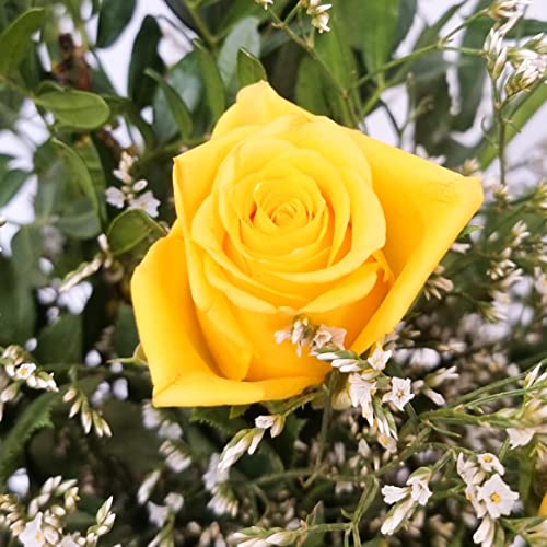Yellow Rose Bouquet - Fresh & Stunning