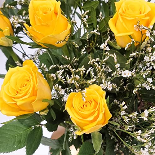 Yellow Rose Bouquet - Fresh & Stunning