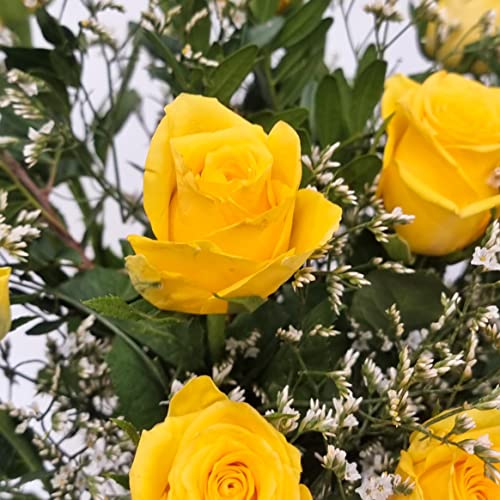 Yellow Rose Bouquet - Fresh & Stunning