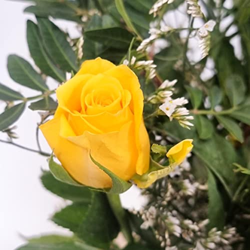 Yellow Rose Bouquet - Fresh & Stunning