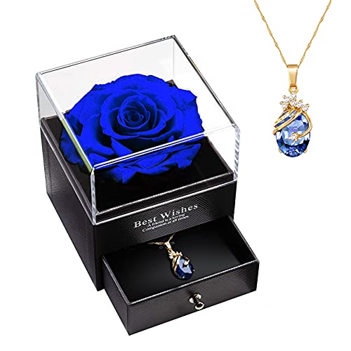 Preserved Rose Necklace - Perfect Gift