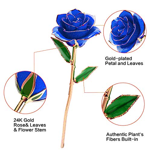 24K Gold Eternal Love Rose for Women