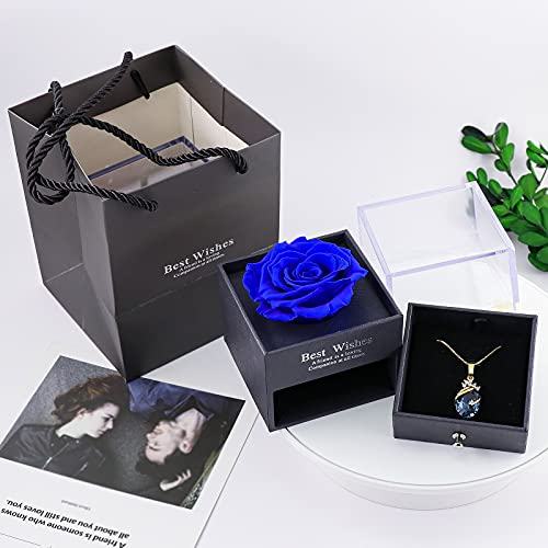 Preserved Rose Necklace - Perfect Gift