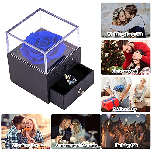 Preserved Rose Necklace - Perfect Gift