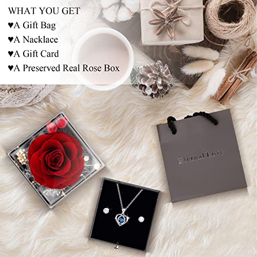 Eternal Red Rose Set with Jewelry - Romantic Gift