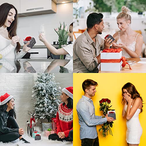 Eternal Red Rose Set with Jewelry - Romantic Gift