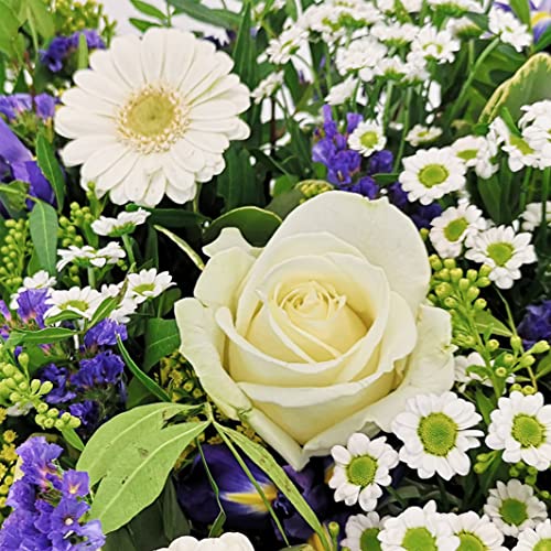 Vanilla Sky Flower Bouquet for Special Occasions