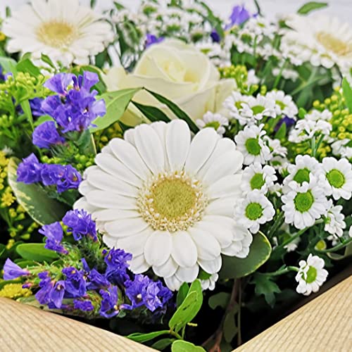 Vanilla Sky Flower Bouquet for Special Occasions