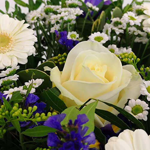 Vanilla Sky Flower Bouquet for Special Occasions