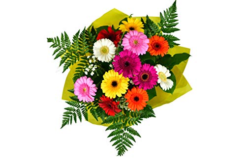 Fresh Glam Bouquet for Any Occasion