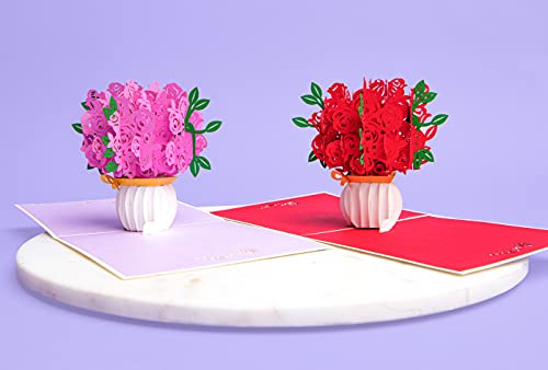 Pink Rose Pop Up Card - All Occasions