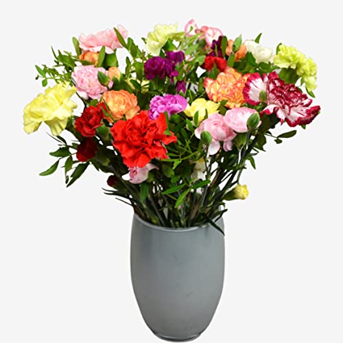 Carnation Mix Bouquet for Special Occasions